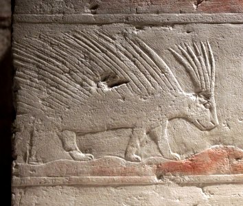 Bas-relief Porc-épic 5ème dynastie Neues Museum 26042018 photo