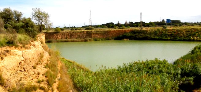 Bassa de les cabres