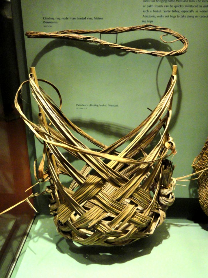 Basket, palm leaf, Huaorani - AMNH - DSC06184