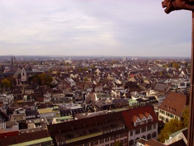 Basel Blick vom Münster 8