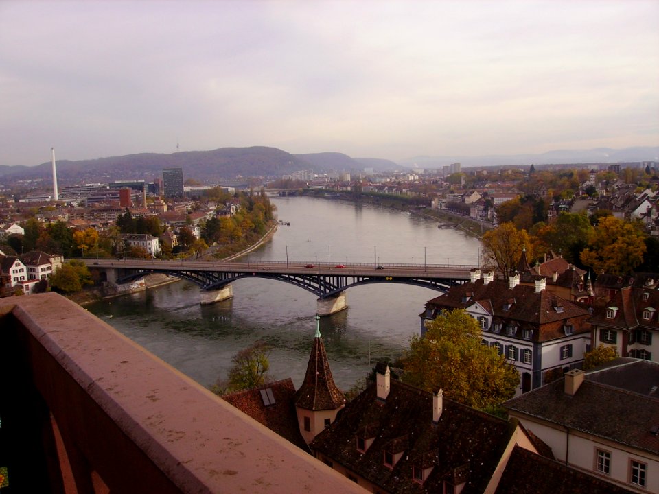 Basel Blick vom Münster 1