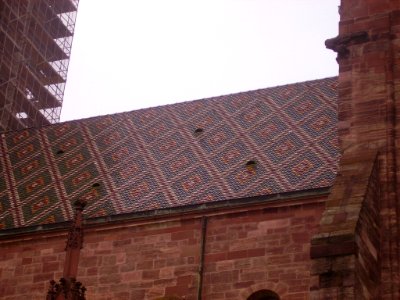 Basel Münster Dach 03