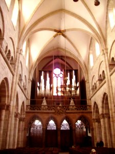 Basel Münster Innen Orgel 2