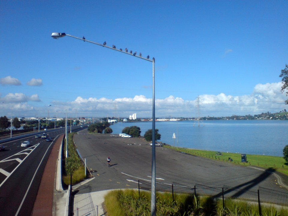 Bay Before Reclamation Work Started