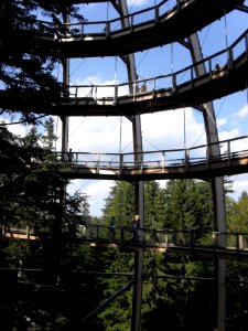 Baumwipfelpfad Neuschönau - L