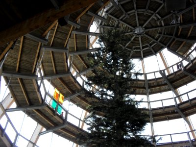 Baumwipfelpfad Neuschönau - M