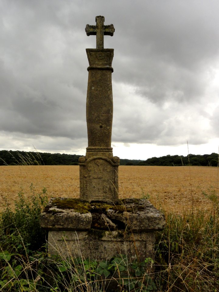Baslieux (Meurthe-et-M.) croix de chemin Calvaire du Grand Champ