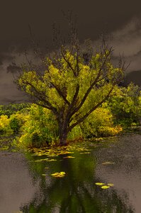 Water tranquil dusk