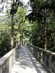 Baumwipfelpfad Neuschönau - H
