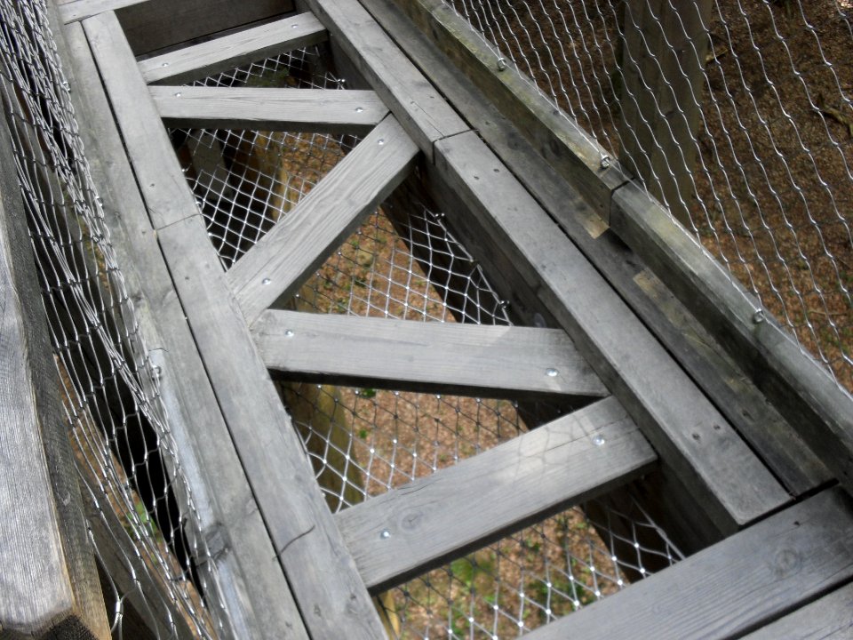 Baumwipfelpfad Neuschönau - D