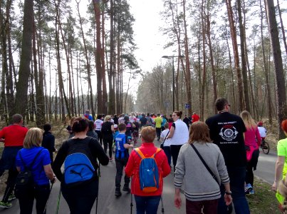 Bdg biegbezograniczen3 4-2016