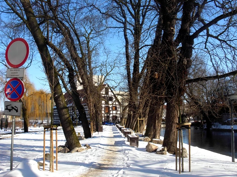 Bdg aleja kasztanowa 03-2013a