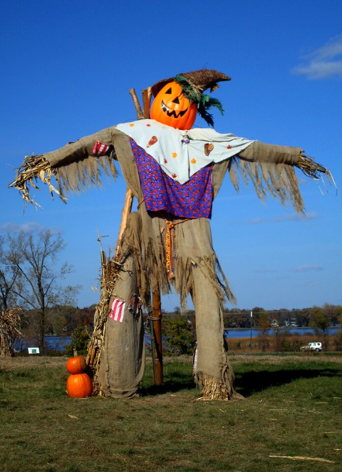 Seasonal harvest halloween