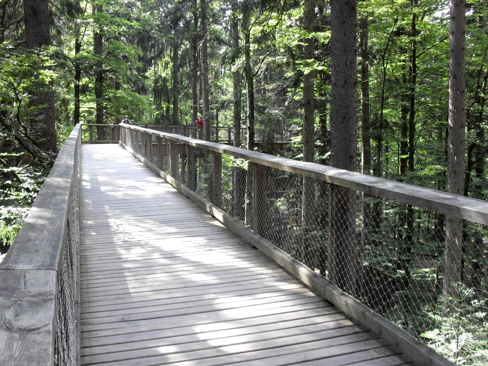 Baumwipfelpfad Neuschönau - C