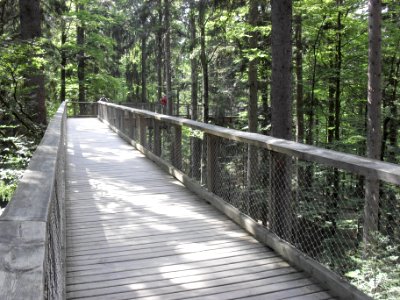 Baumwipfelpfad Neuschönau - C