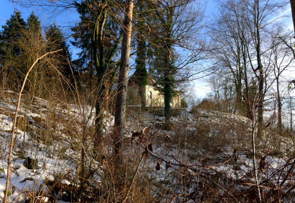 Baumgartenberg-1030930-Ulrichsberg-Burgstall