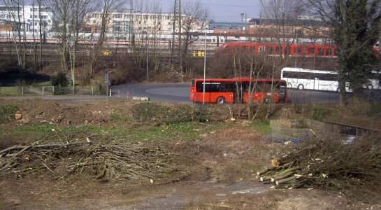 Baumfaellung-Groner-Tor-19-3-2015-b