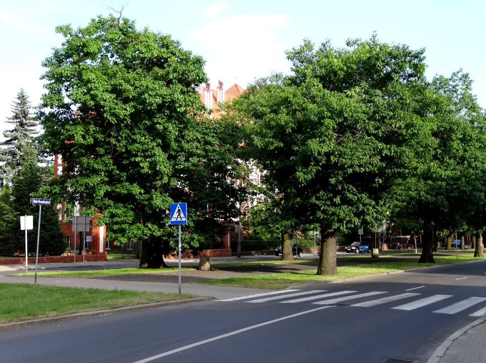 Bdg alejaOssolinskich 2 07-2013