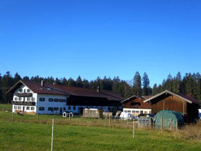 Baumgarten 01