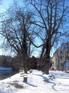 Bdg aleja kasztanowa 03-2013b