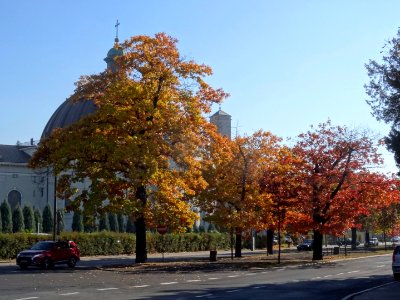 Bdg al Ossolinskich 9