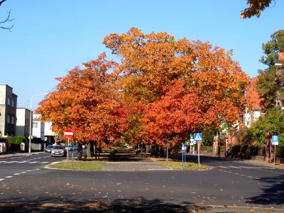 Bdg al Ossolinskich 7