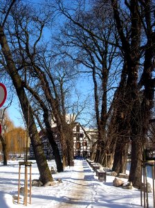 Bdg aleja kasztanowa 03-2013