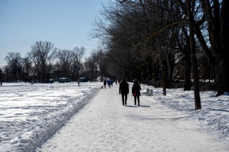 Battlefields Park 03