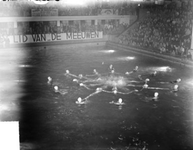 Bathing Beauties sportfondsenbad, Bestanddeelnr 904-4977
