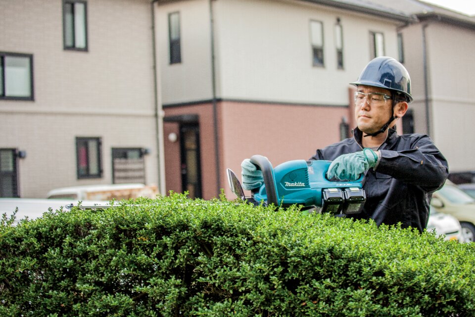 A living fence ppe bush