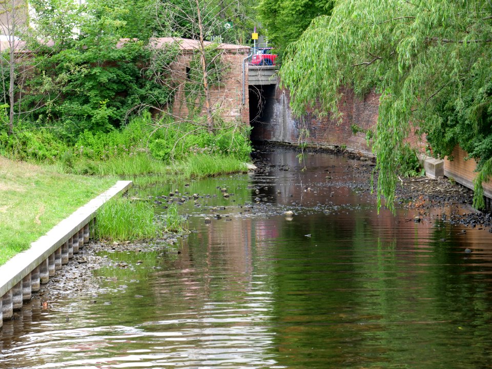 Batardeau and Mühlengraben in Berlin-Spandau 06