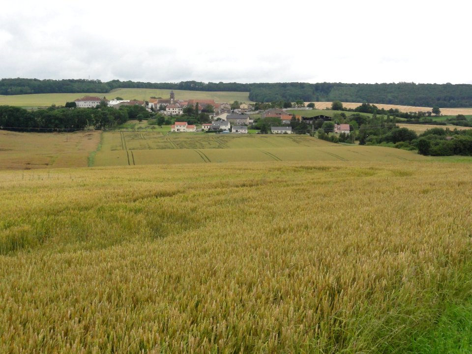 Bathelémont (M-et-M) paysage