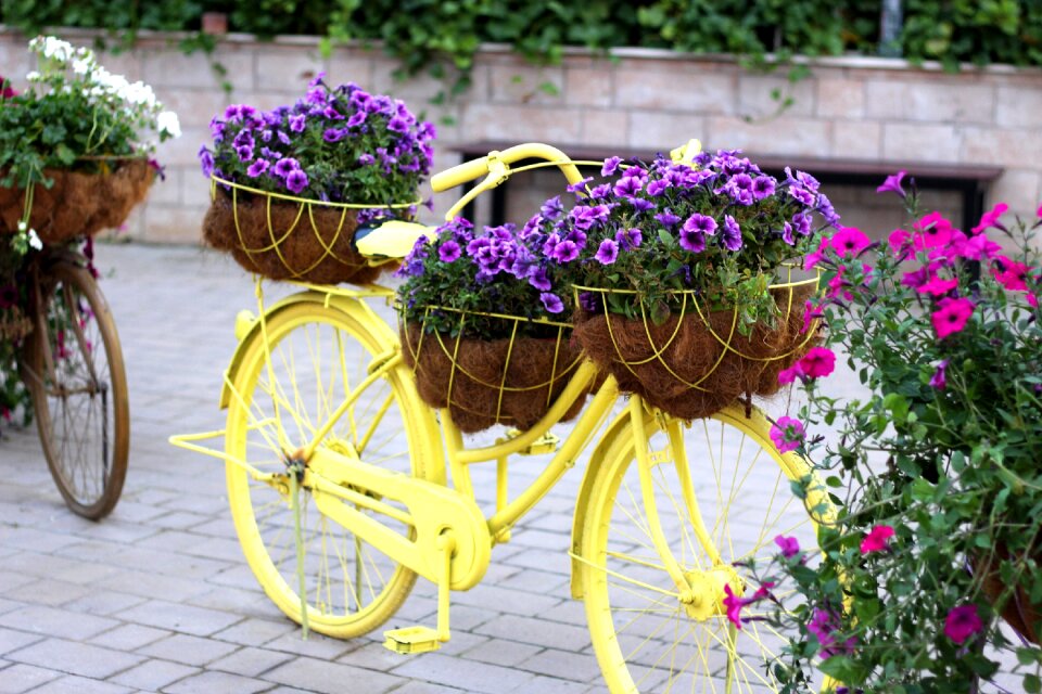 Flower bicycle decoration