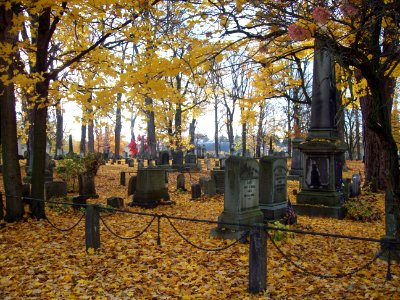 Batavia Cemetery General View Oct 09
