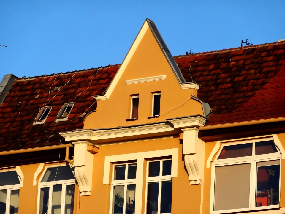 Bdg plWeyssenhoffa5i 1 01-2014