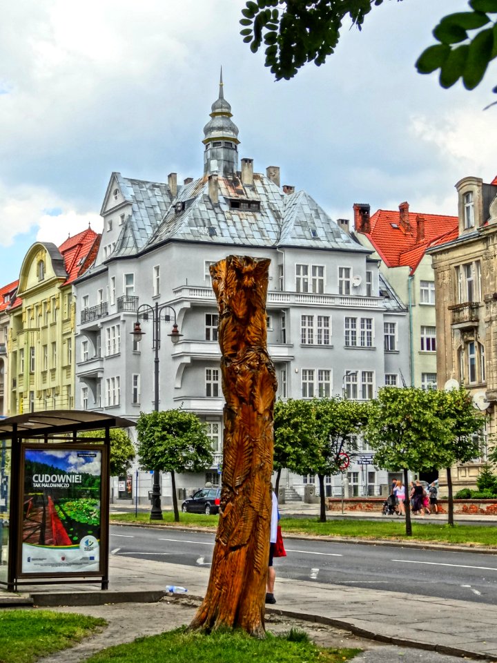 Bdg Mickiewicza drzewo 3 07-2013
