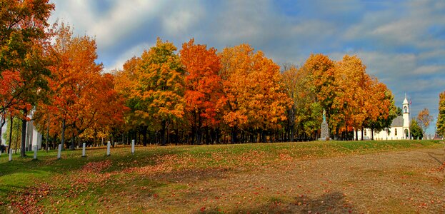 Colors season orange photo