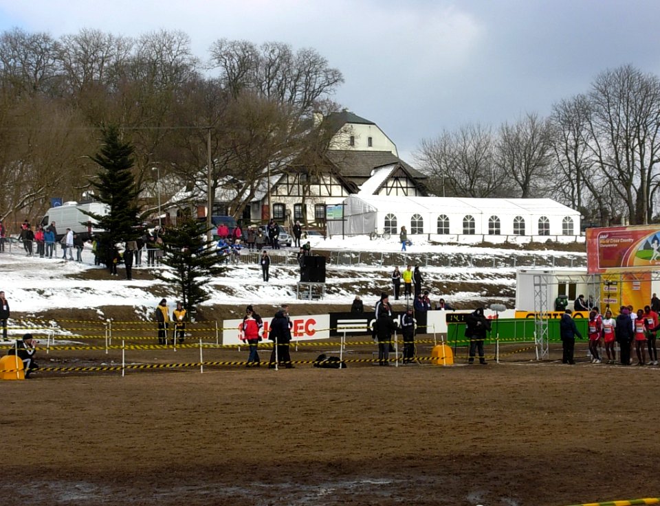 Bdg MŚ biegi przełaj 03-2013o