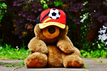 Teddy france tournament