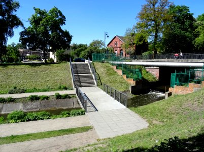 Bdg plantyKBw 2 5-2015