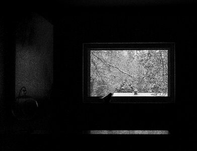Alone isolation black window