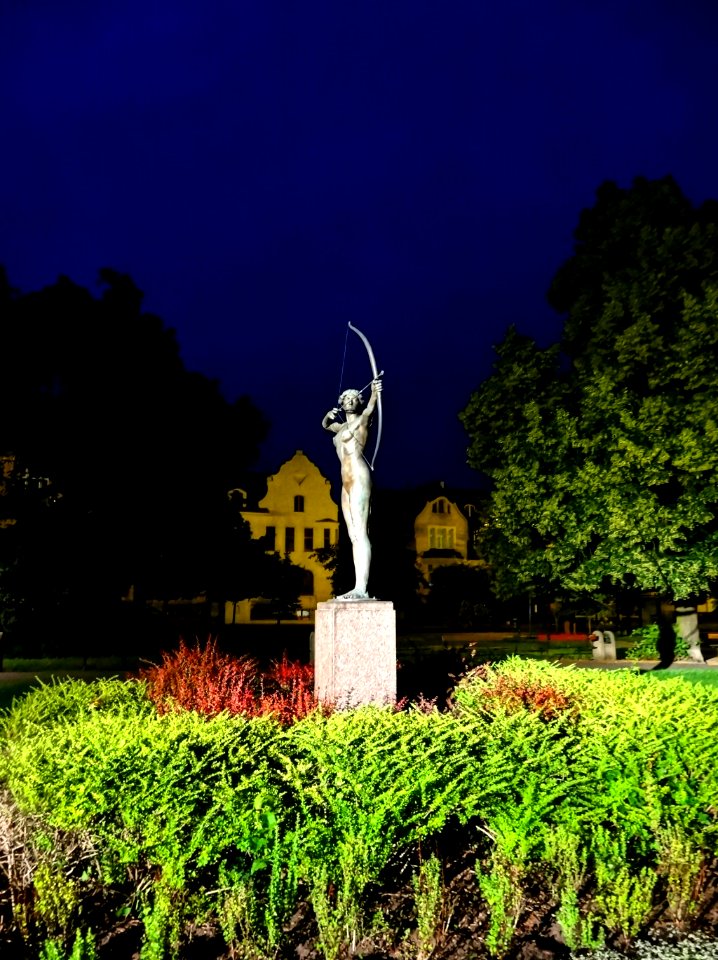 Bdg Luczniczka noc Mickziel 07-2013