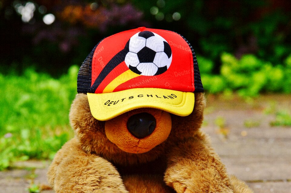 Teddy france tournament