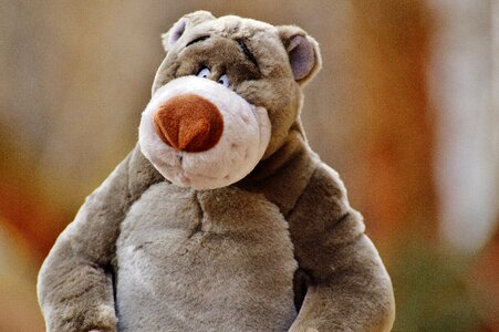 Stuffed animal cute toys photo