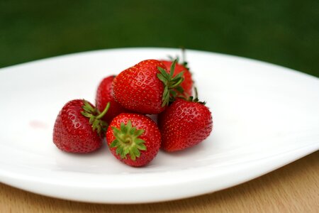 Food sweet healthcare