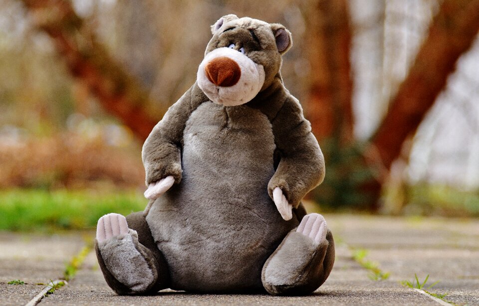 Stuffed animal cute toys photo