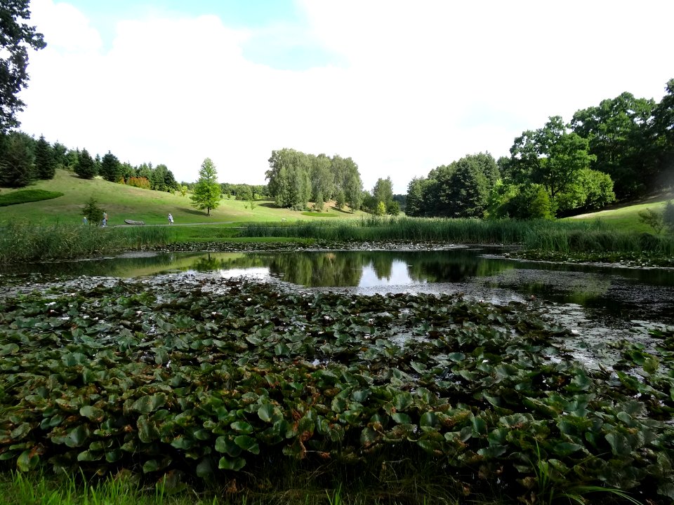Bdg Ogrod Botaniczny5 08-2014