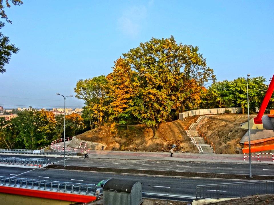 Bdg parkWzgWolnosci 17 10-2013