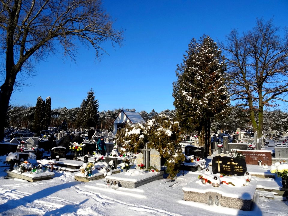 Bdg swStanislaw cemetery2 2-2017