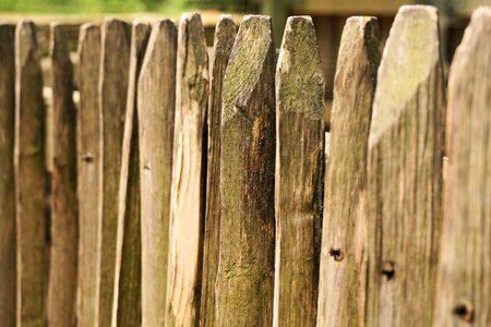 Wood fence paling pile photo